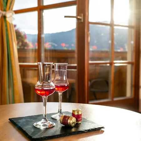 酒店 Sonnhof Am Hochkoenig