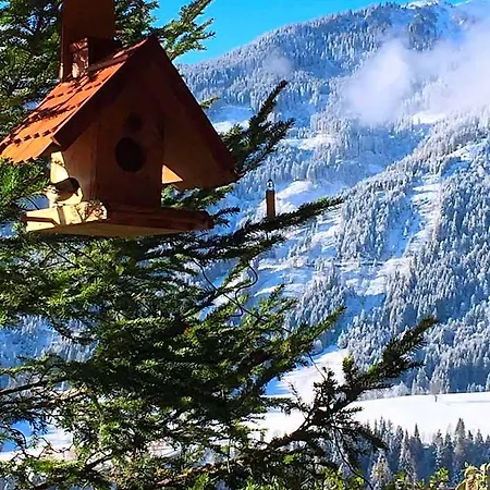 Hotel Sonnhof Am Hochkoenig 3*