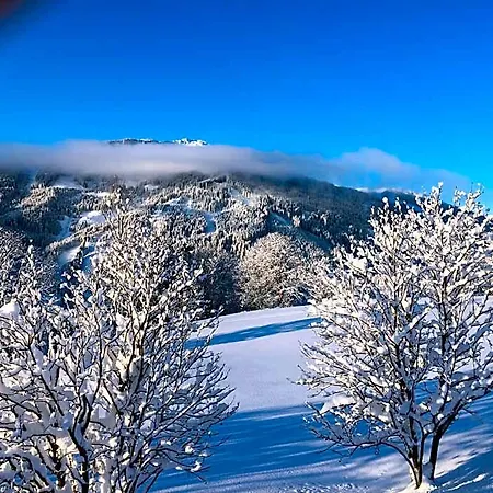 Sonnhof Am Hochkoenig فندق